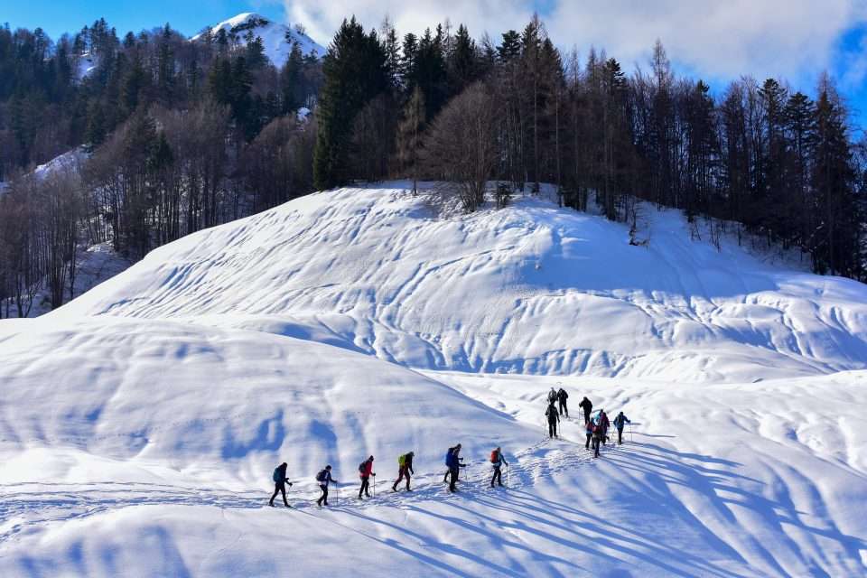 snowshoe in hakuba